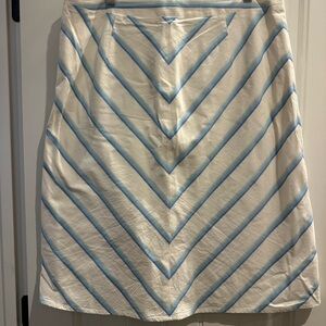 Banana Republic A-Line Skirt with Blue and White Chevron